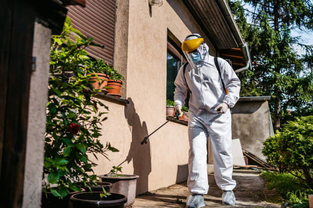 Best Affordable Pest Control Services  in Millville, DE